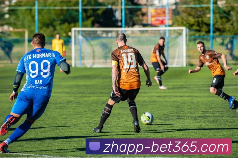 Bet365体育官网APP 封面图